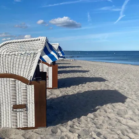 Vogelnest * Groemitz