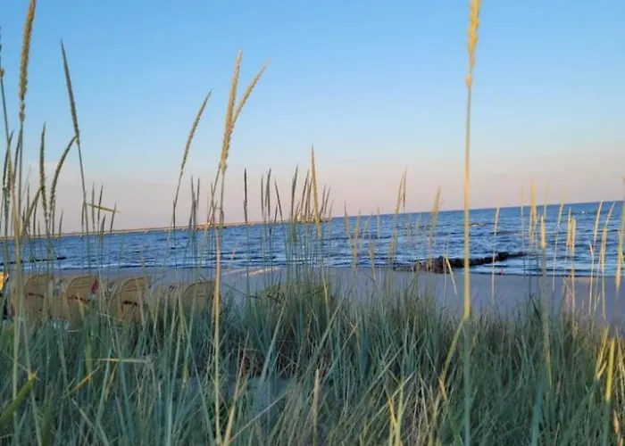 Vogelnest * Grömitz