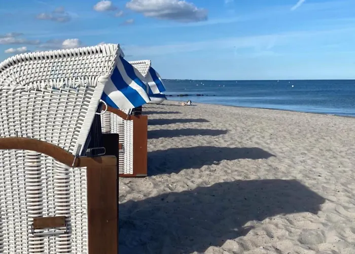 Vogelnest * Grömitz